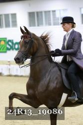 24R13_19086 thumbnail