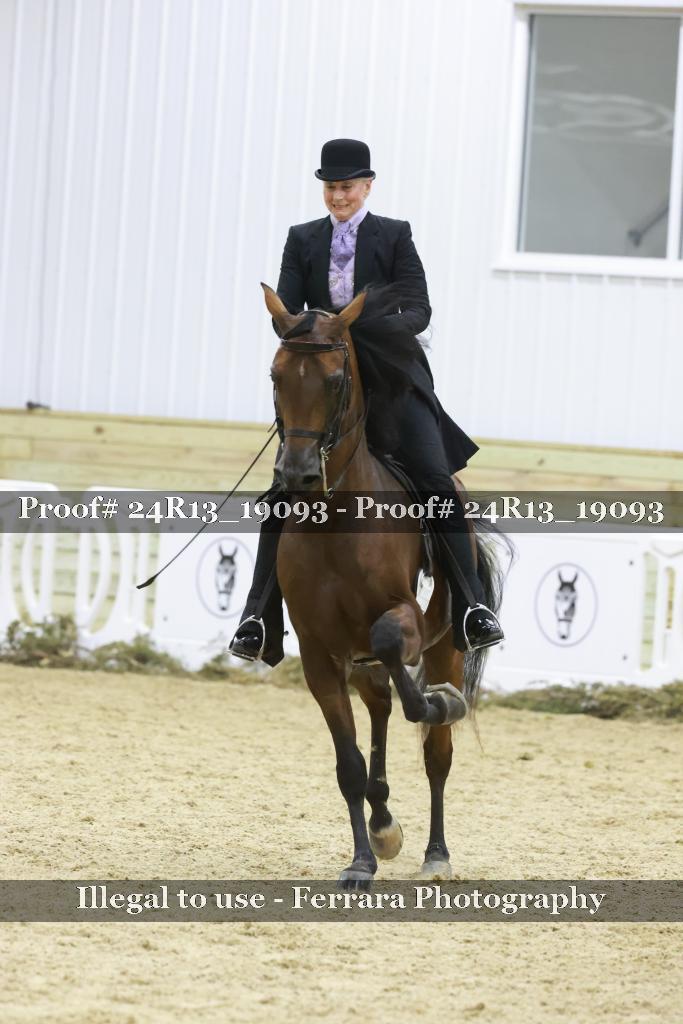 Proof Number 24R13_19093