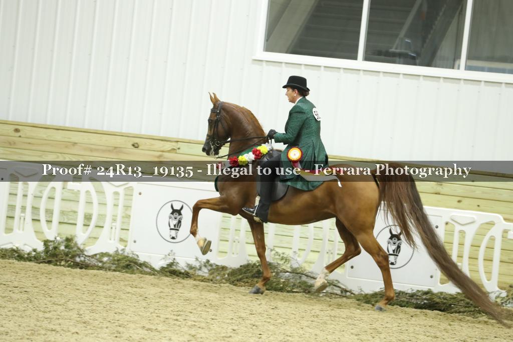 Proof Number 24R13_19135