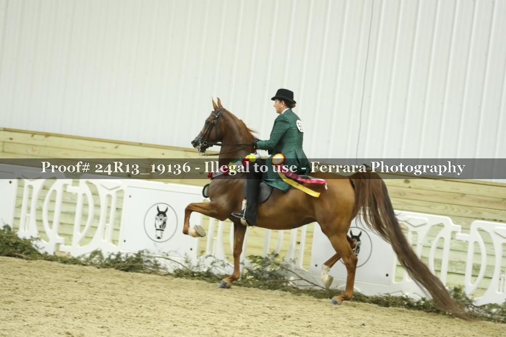 Proof Number 24R13_19136