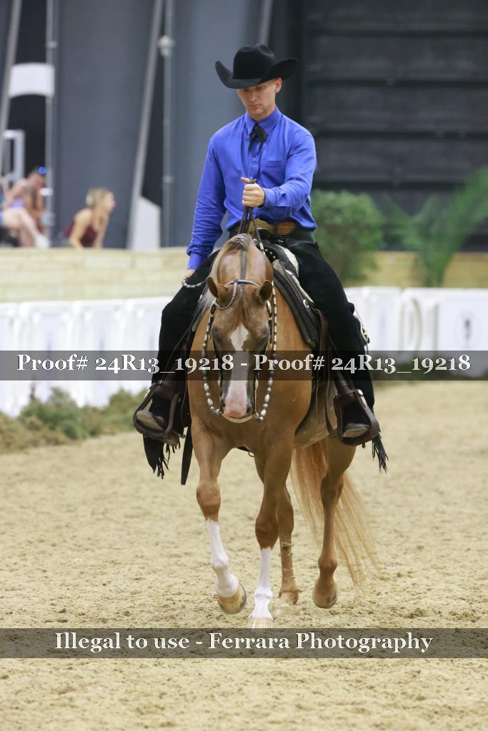 Proof Number 24R13_19218