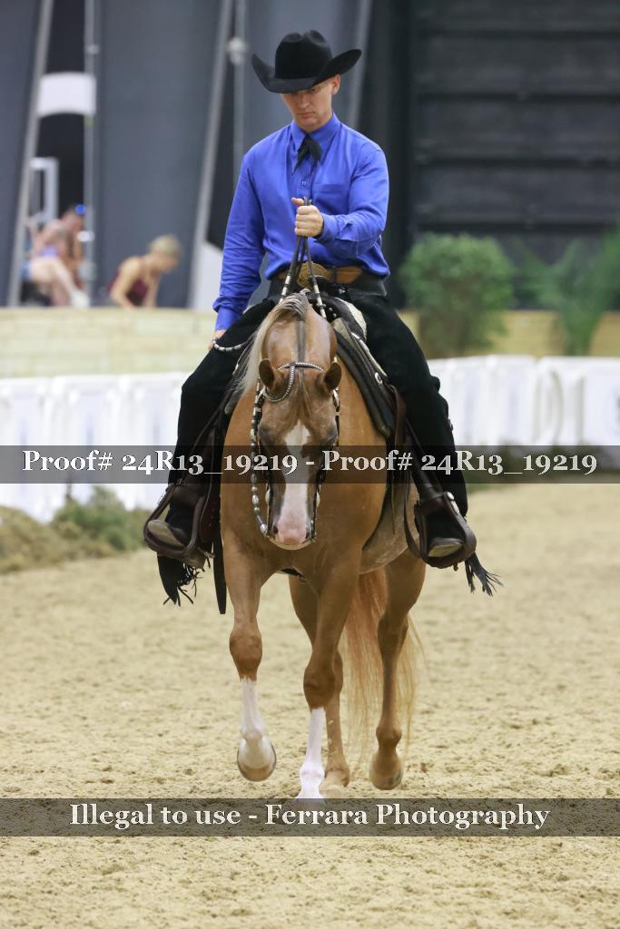 Proof Number 24R13_19219