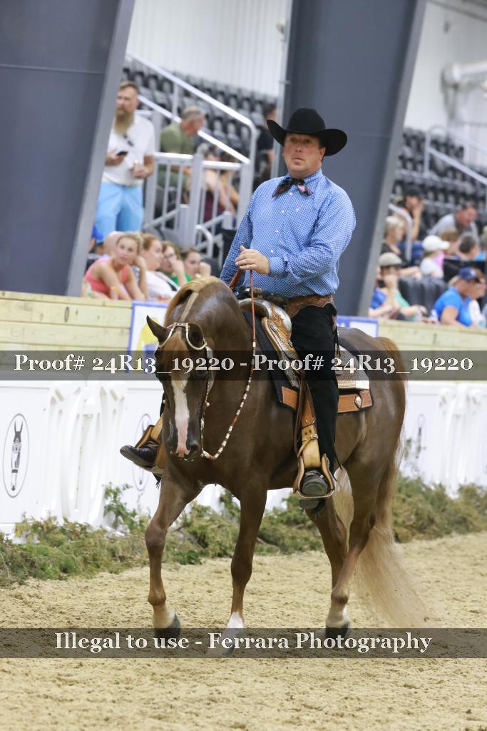 Proof Number 24R13_19220