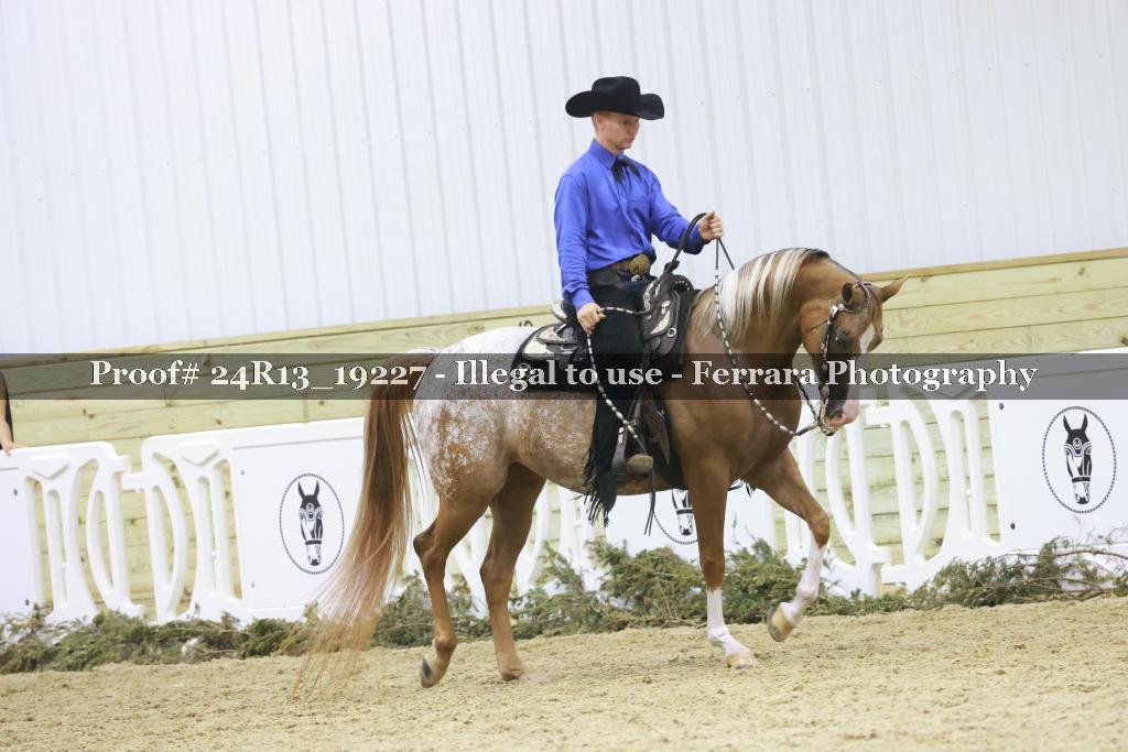 Proof Number 24R13_19227