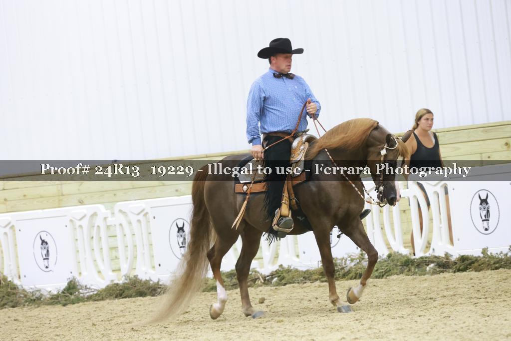 Proof Number 24R13_19229