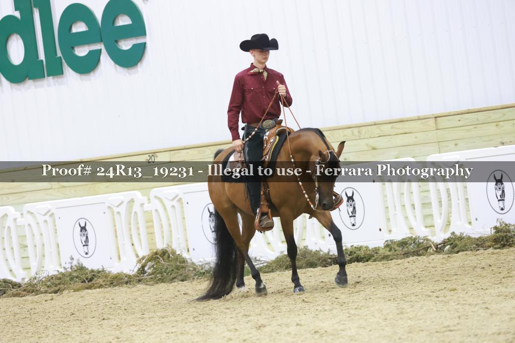 Proof Number 24R13_19231
