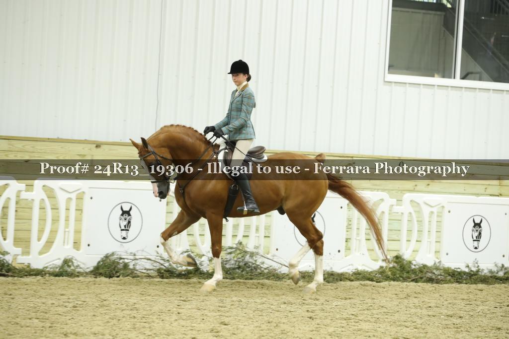 Proof Number 24R13_19306