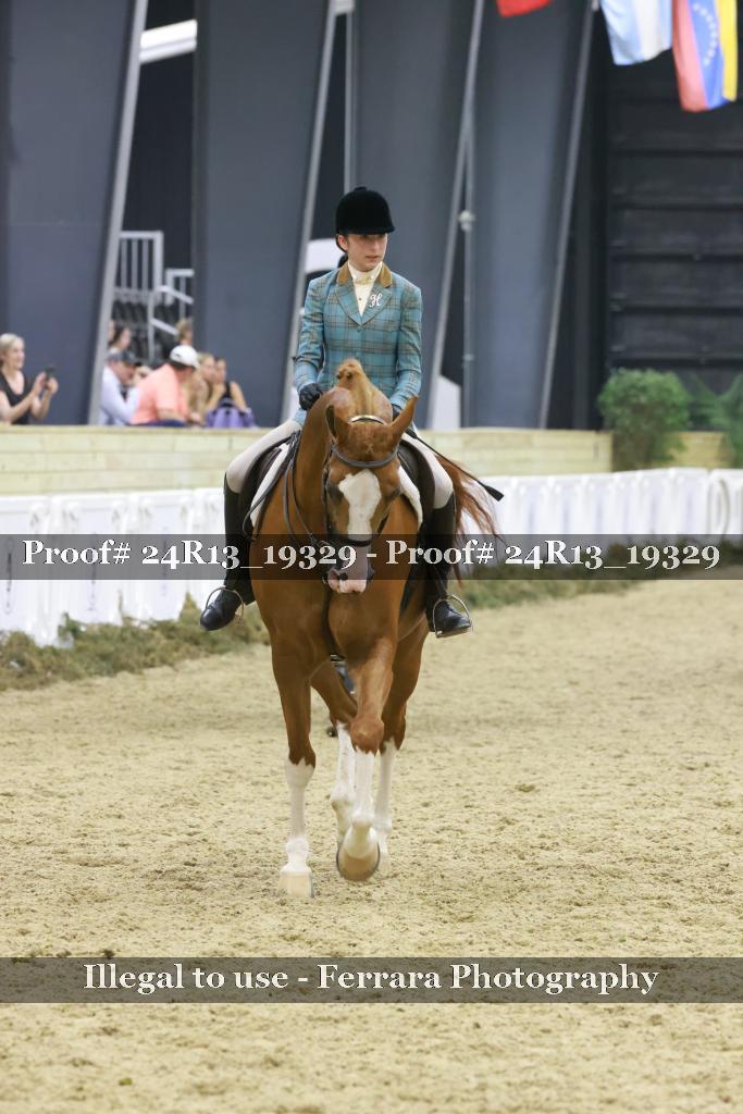 Proof Number 24R13_19329