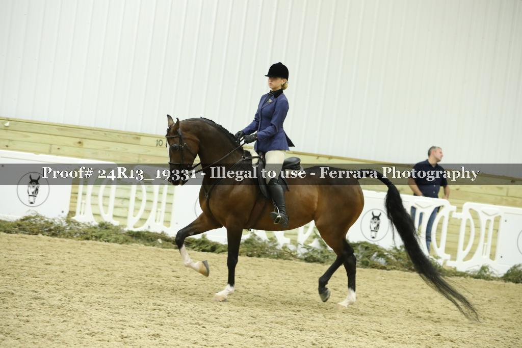 Proof Number 24R13_19331