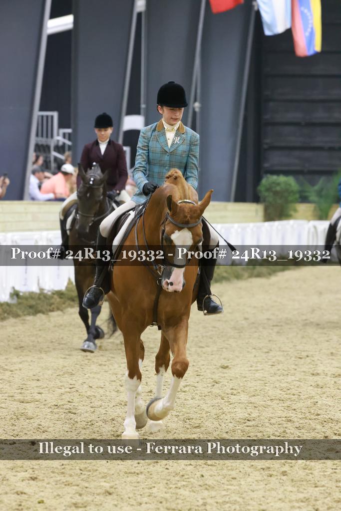 Proof Number 24R13_19332