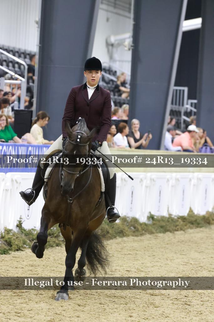 Proof Number 24R13_19334