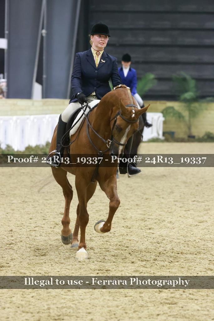 Proof Number 24R13_19337