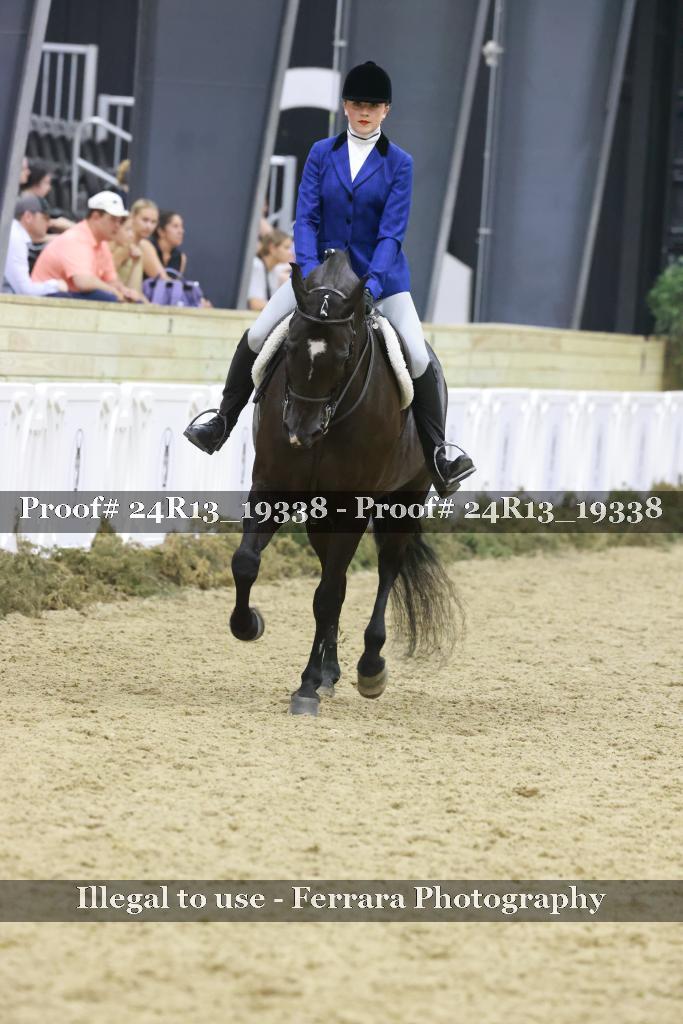 Proof Number 24R13_19338