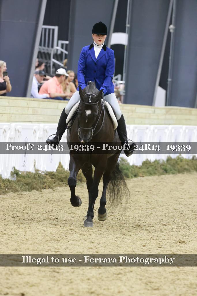 Proof Number 24R13_19339