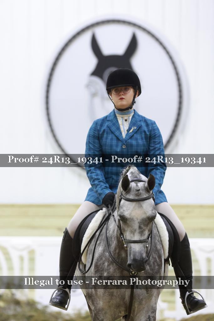 Proof Number 24R13_19341