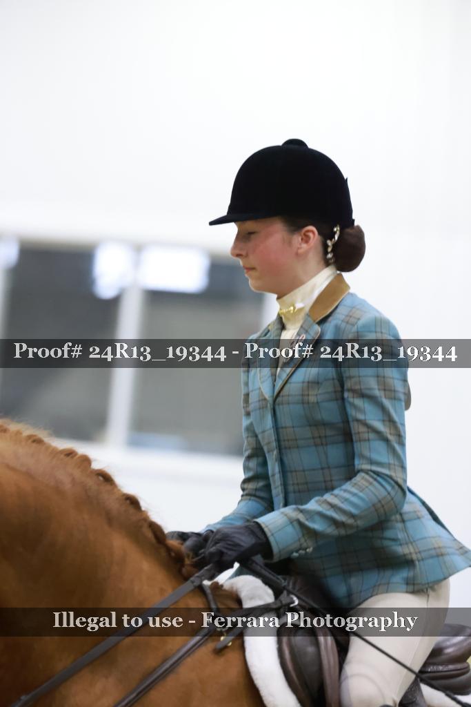 Proof Number 24R13_19344