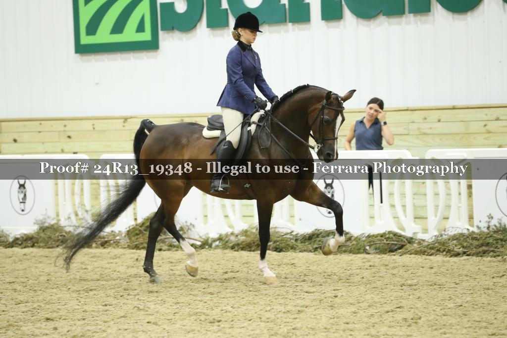 Proof Number 24R13_19348