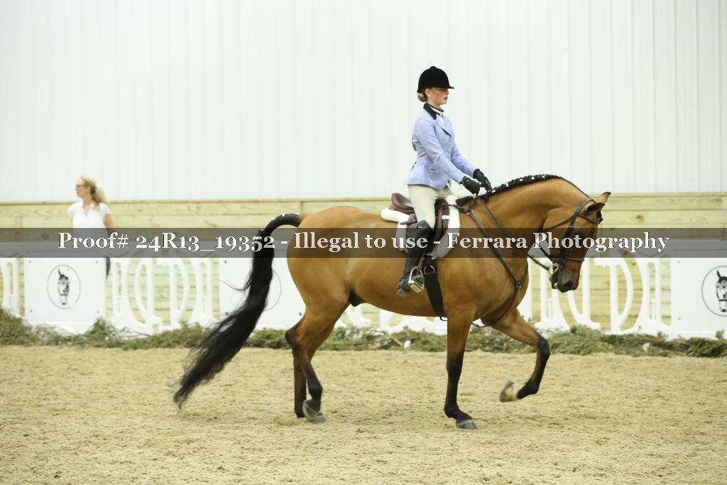 Proof Number 24R13_19352