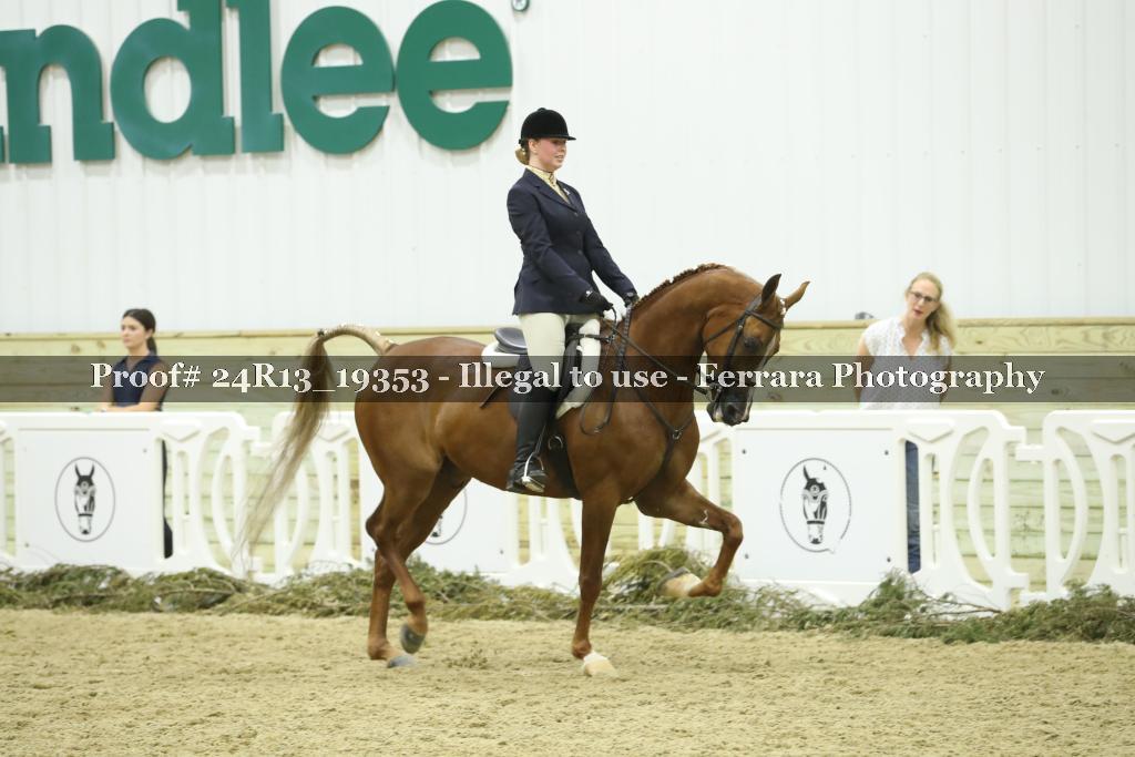 Proof Number 24R13_19353