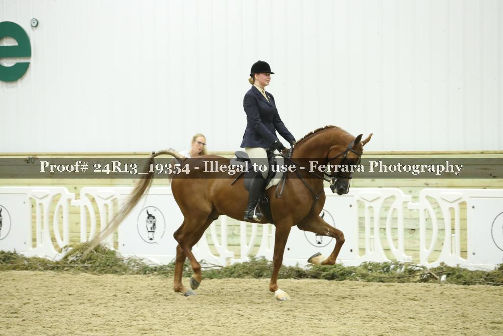 Proof Number 24R13_19354