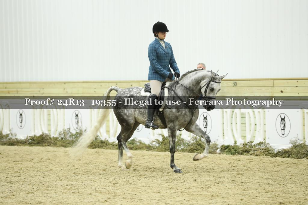 Proof Number 24R13_19355