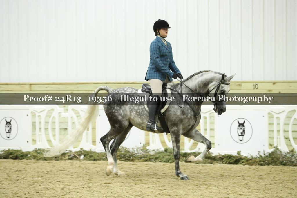 Proof Number 24R13_19356