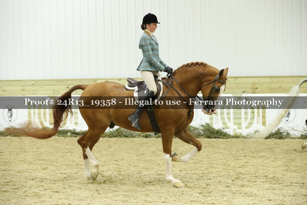Proof Number 24R13_19358
