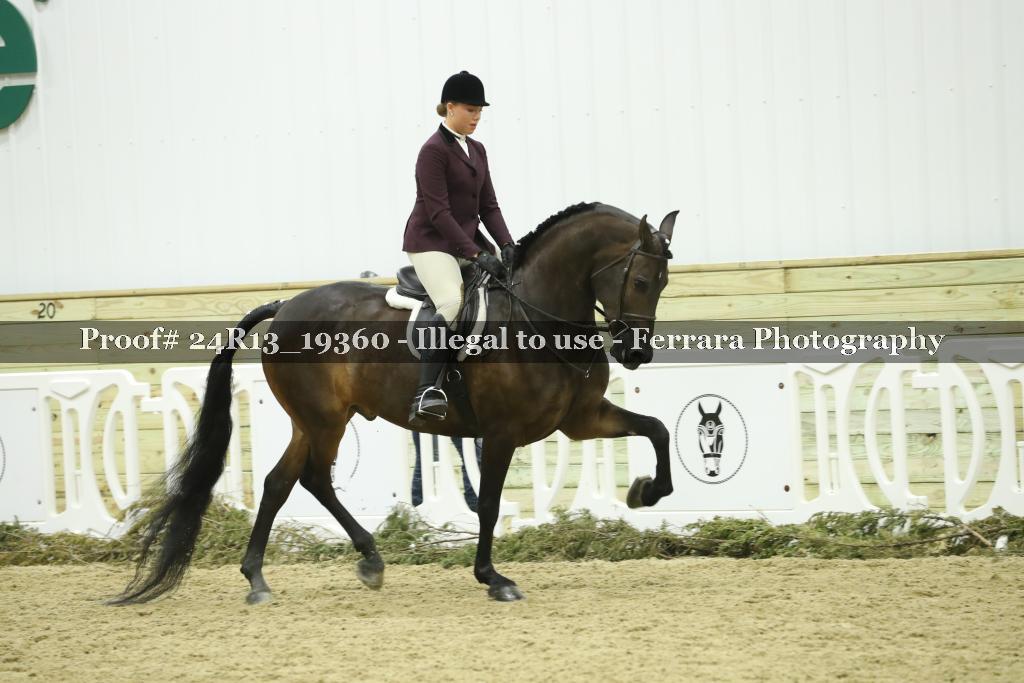 Proof Number 24R13_19360