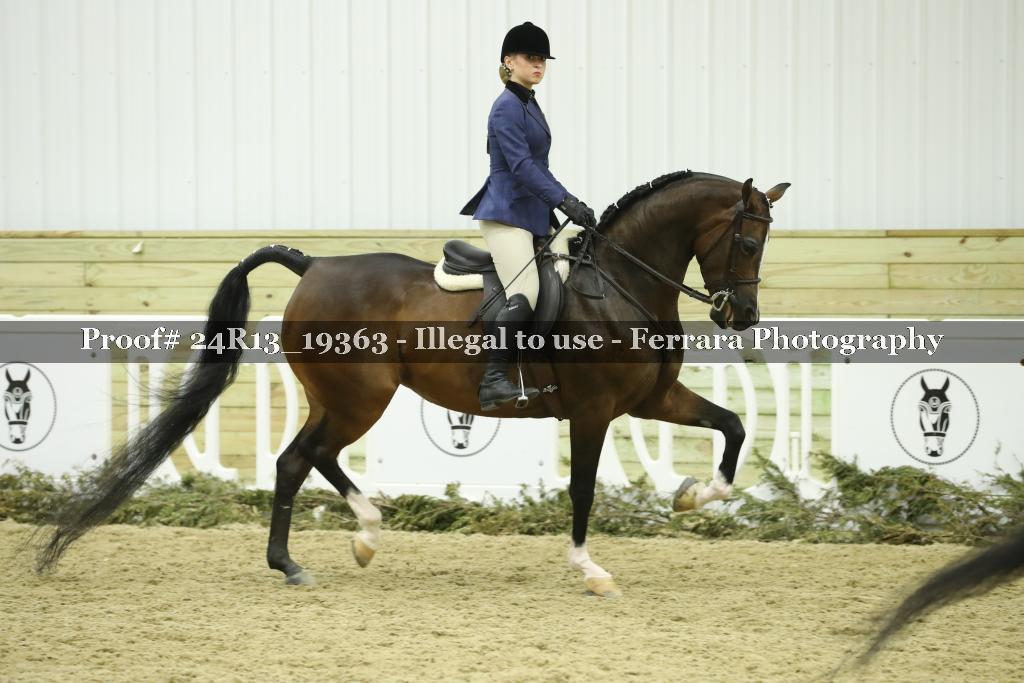 Proof Number 24R13_19363