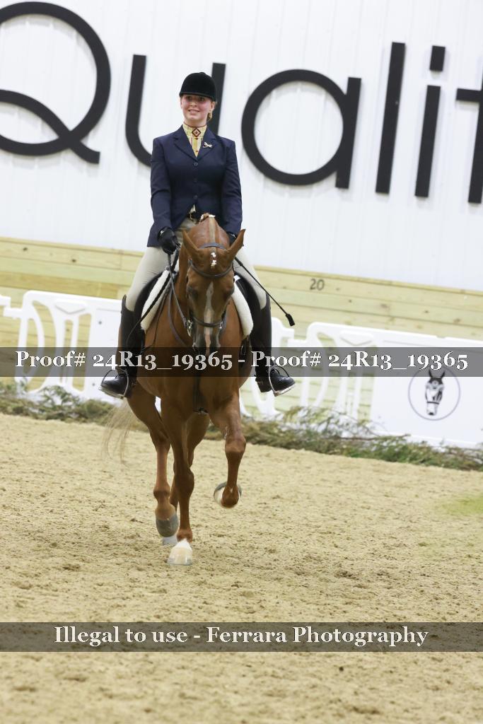 Proof Number 24R13_19365