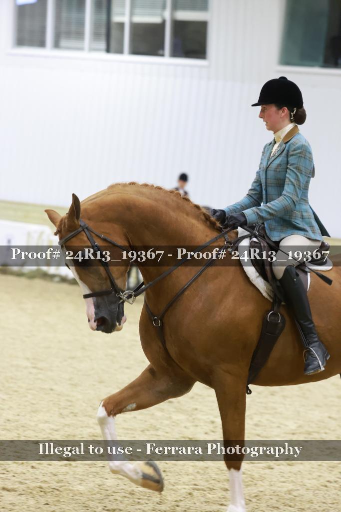 Proof Number 24R13_19367