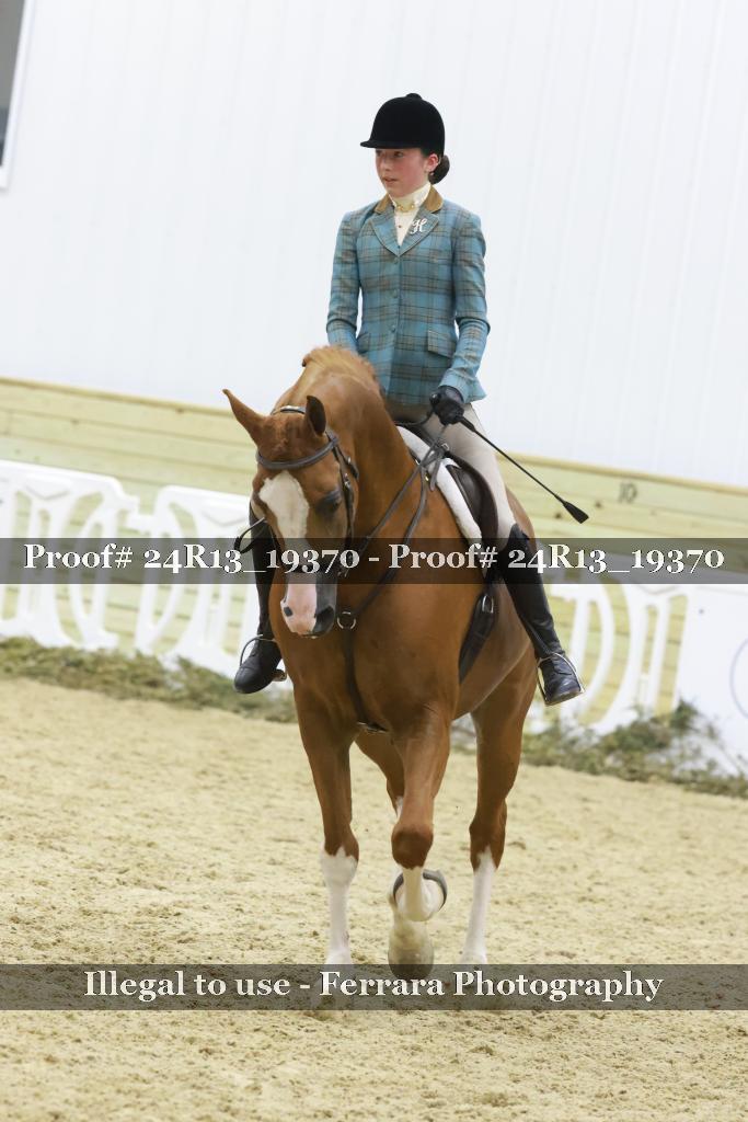 Proof Number 24R13_19370