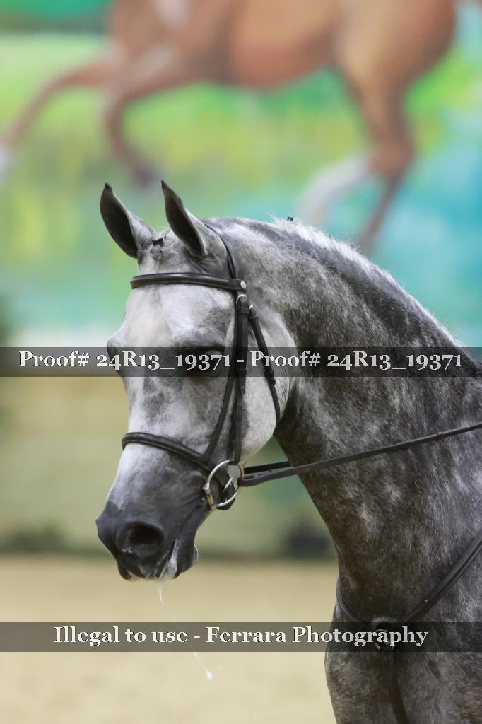 Proof Number 24R13_19371