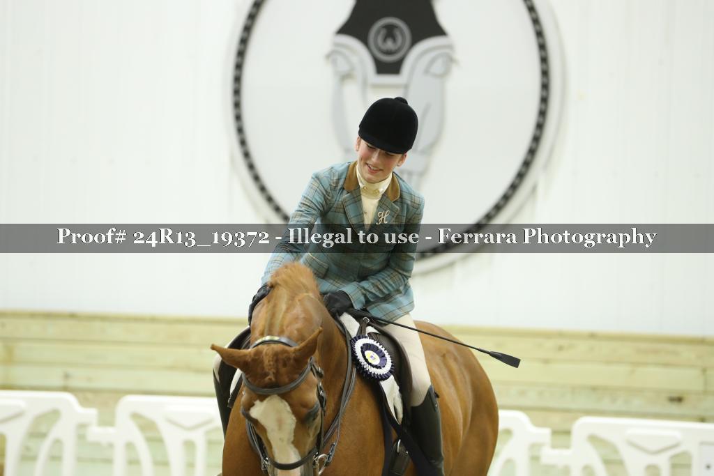 Proof Number 24R13_19372