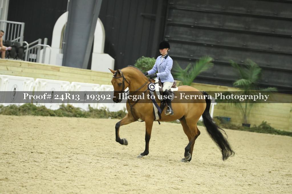 Proof Number 24R13_19392