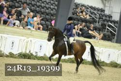 24R13_19399 thumbnail