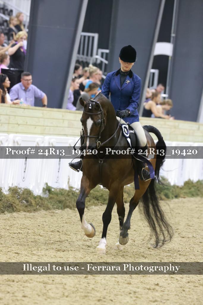 Proof Number 24R13_19420