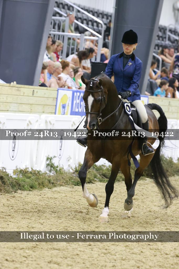 Proof Number 24R13_19422