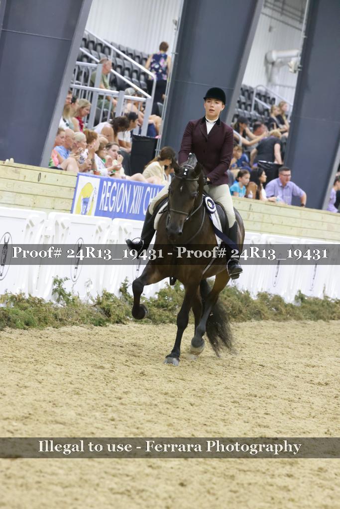 Proof Number 24R13_19431