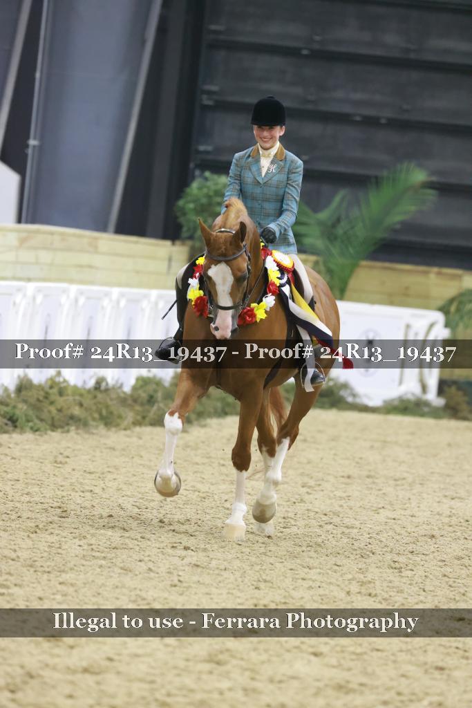 Proof Number 24R13_19437