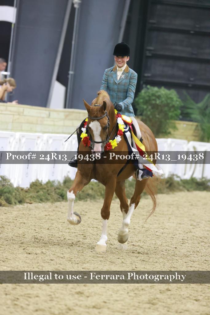 Proof Number 24R13_19438