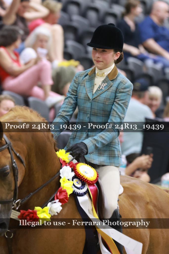 Proof Number 24R13_19439