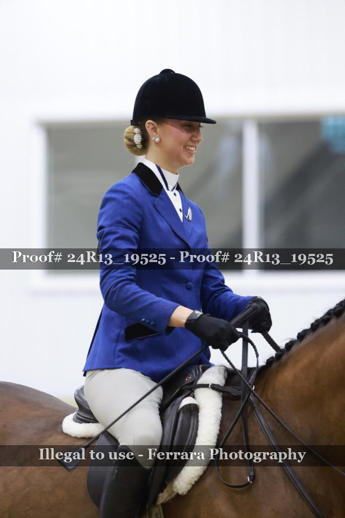 Proof Number 24R13_19525