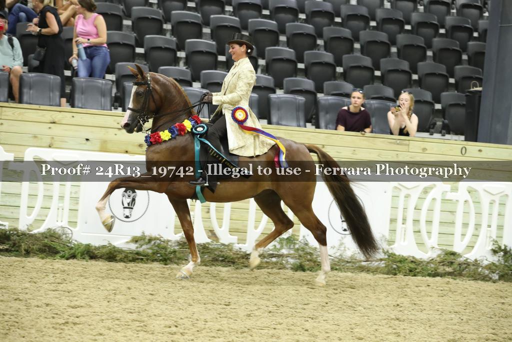 Proof Number 24R13_19742