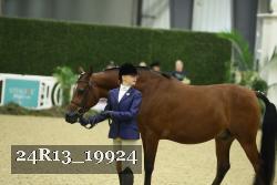 24R13_19924 thumbnail