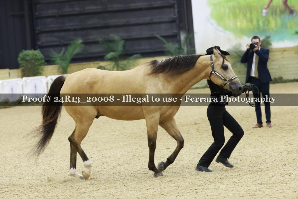Proof Number 24R13_20008