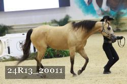 24R13_20011 thumbnail