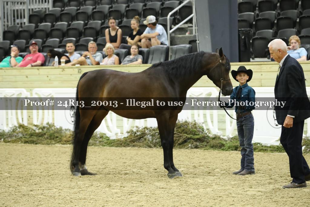 Proof Number 24R13_20013