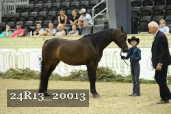 24R13_20013 thumbnail