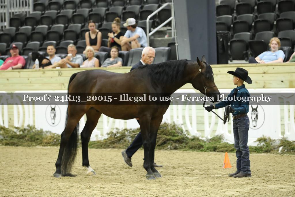 Proof Number 24R13_20015